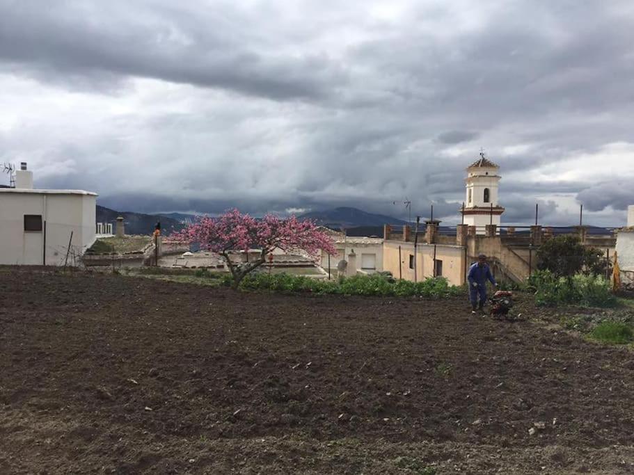 La Casa Rural De Paco Y Ana Pitres Extérieur photo