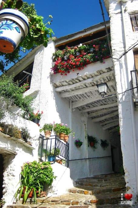 La Casa Rural De Paco Y Ana Pitres Extérieur photo