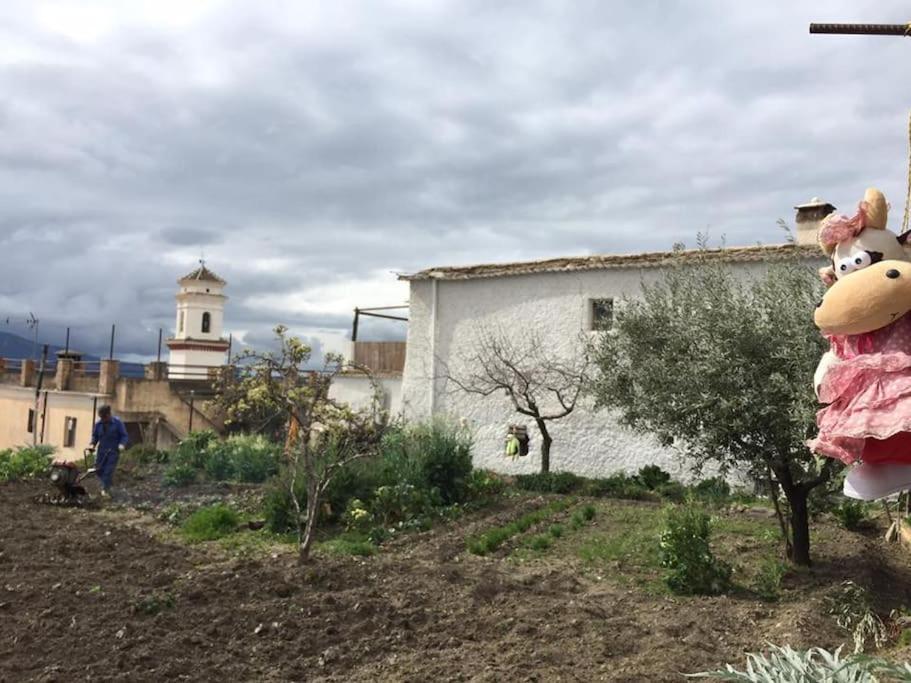 La Casa Rural De Paco Y Ana Pitres Extérieur photo